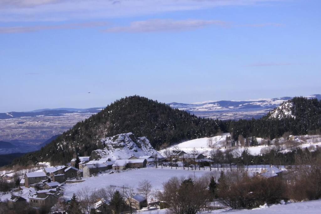 Pialous:Chalet En Rondins Avec Espace Detente La Chapelle-d'Aurec Экстерьер фото