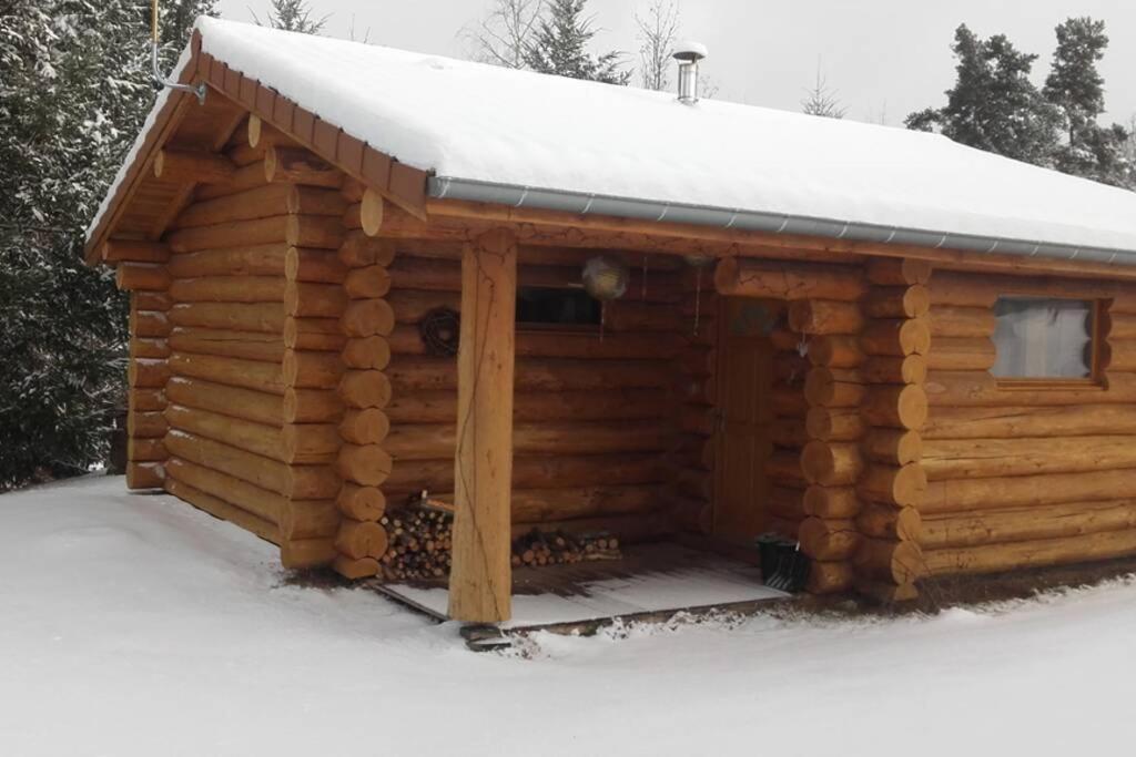 Pialous:Chalet En Rondins Avec Espace Detente La Chapelle-d'Aurec Экстерьер фото